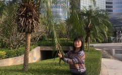 国产亚洲精品第一区香蕉